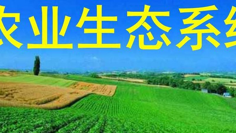 以下是一些在上海地区具有较高知名度和良好口碑的有机蔬菜配送平台：
