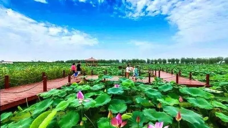 家庭农场营业执照年检怎么弄