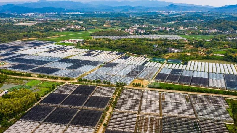 生态农业大棚种植系统：关键参数解析与选型要点**