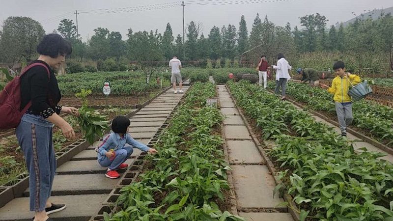 生鲜配送中心分拣系统价格