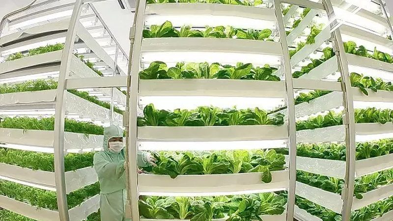种植培训课程大纲：如何提升农业种植技能**