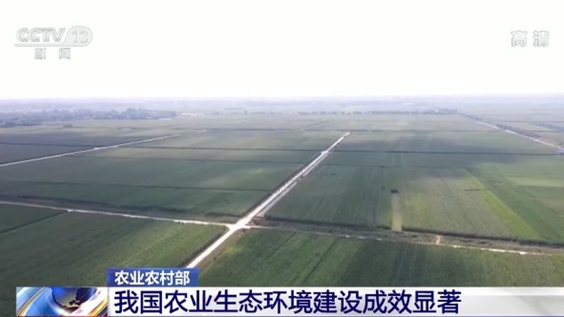 猕猴桃修剪：视频教学大全，掌握高效修剪技巧