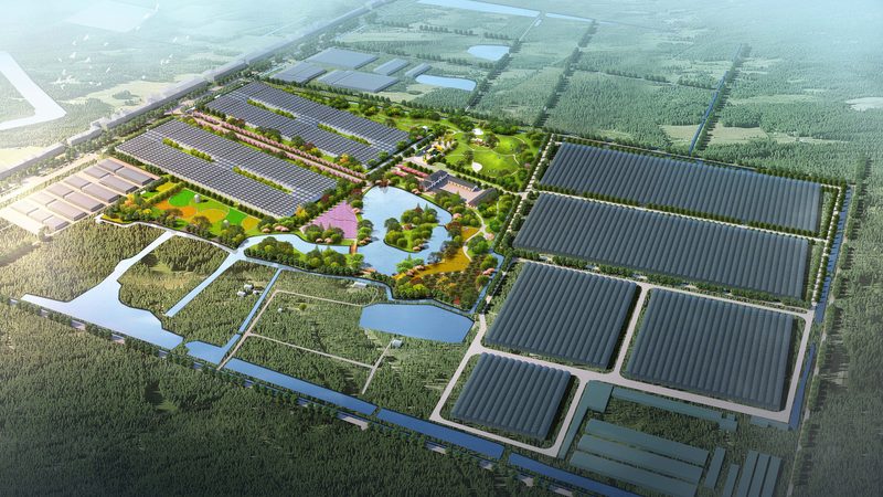 农民专业合作社：揭秘十大品牌背后的行业秘密