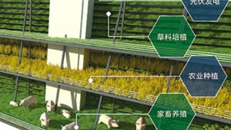 农产品配送报价单：揭秘背后的定价逻辑