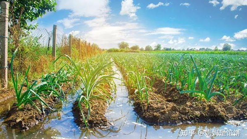 现代农业与生态农业区别问答