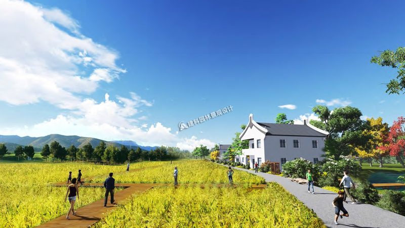 家庭农场种植槽，如何选择最合适尺寸？**