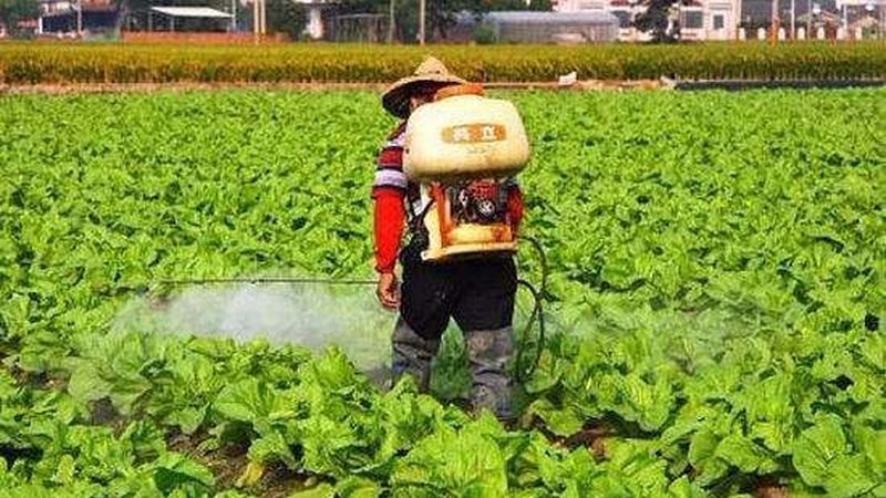 大棚农业种植：揭秘关键参数与高效管理**