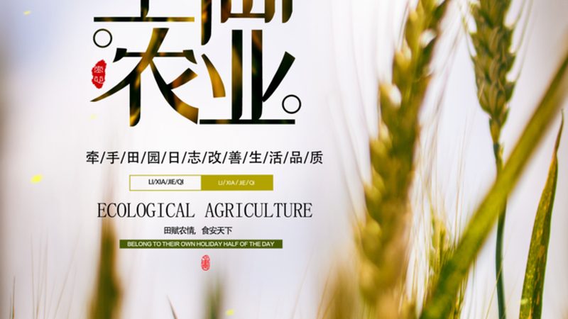 绿色食品标志使用规范：违规处罚与合规要点